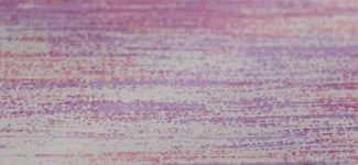 dry brush - pink/purple (ROAE01)