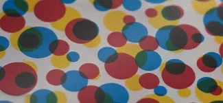 primary polka - (MCAH01)