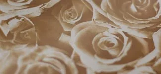 roses - brown (H3AD01)