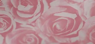roses - pink (PEAD01)