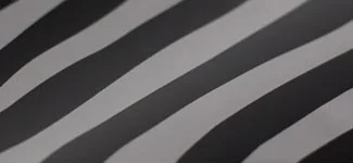 zebra - (S5ZBRA)
