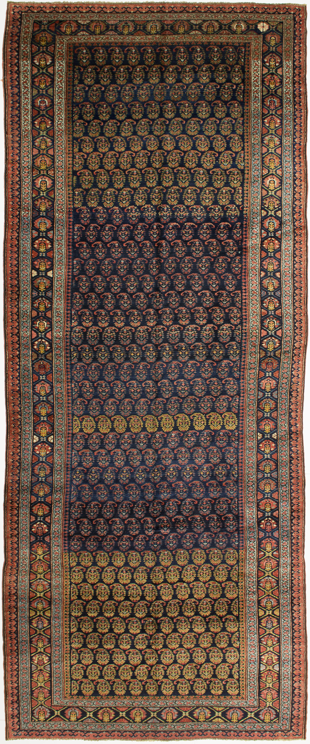 Kurdish Gallery Carpet 14' 5" x 5' 8" 