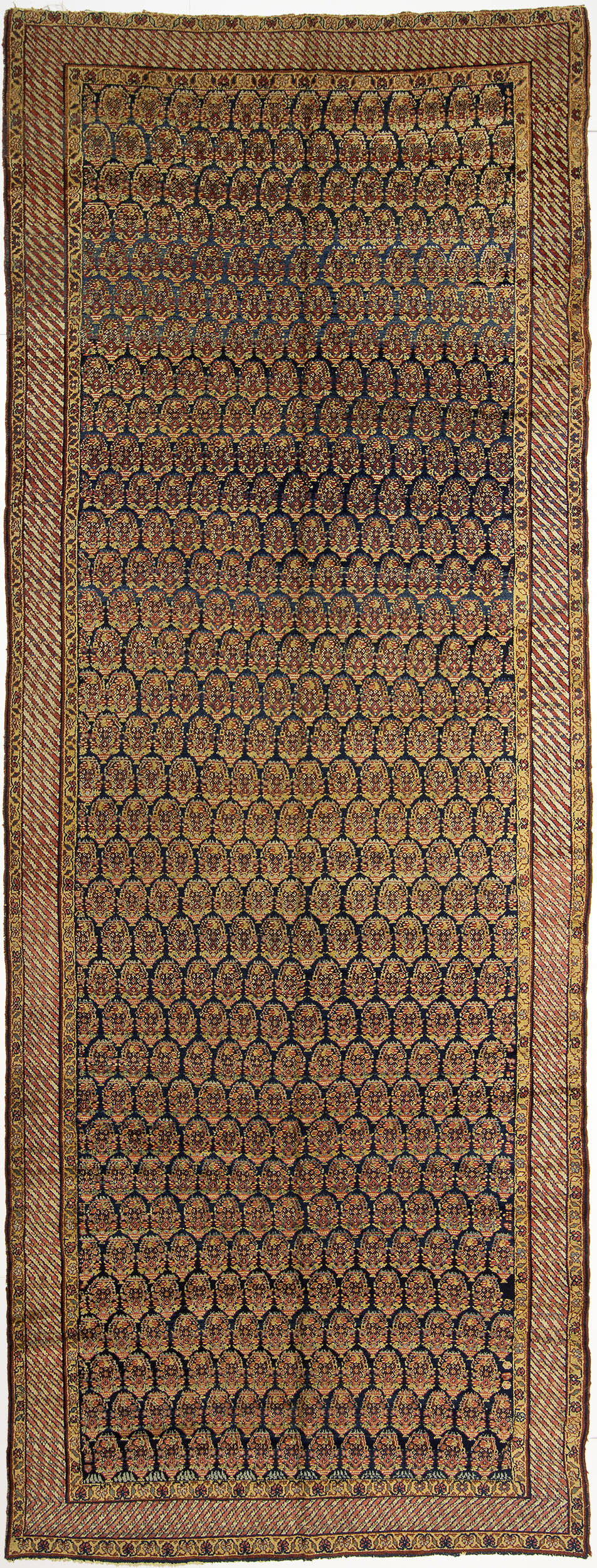 Sehna Kurd Gallery Carpet 16' 3" x 6' 2" 