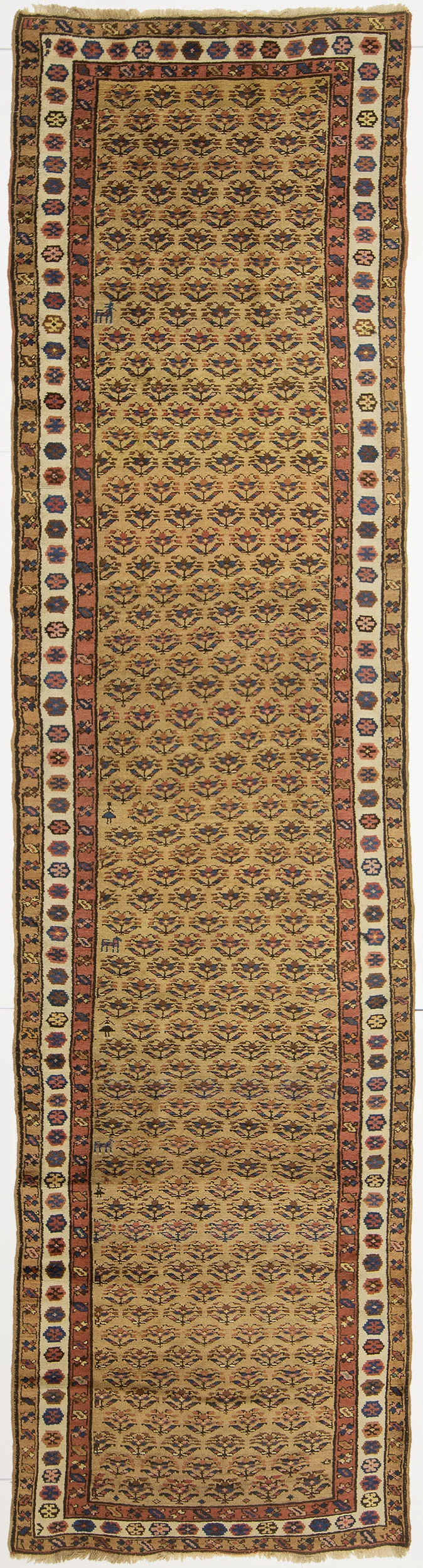 #17155web.jpg