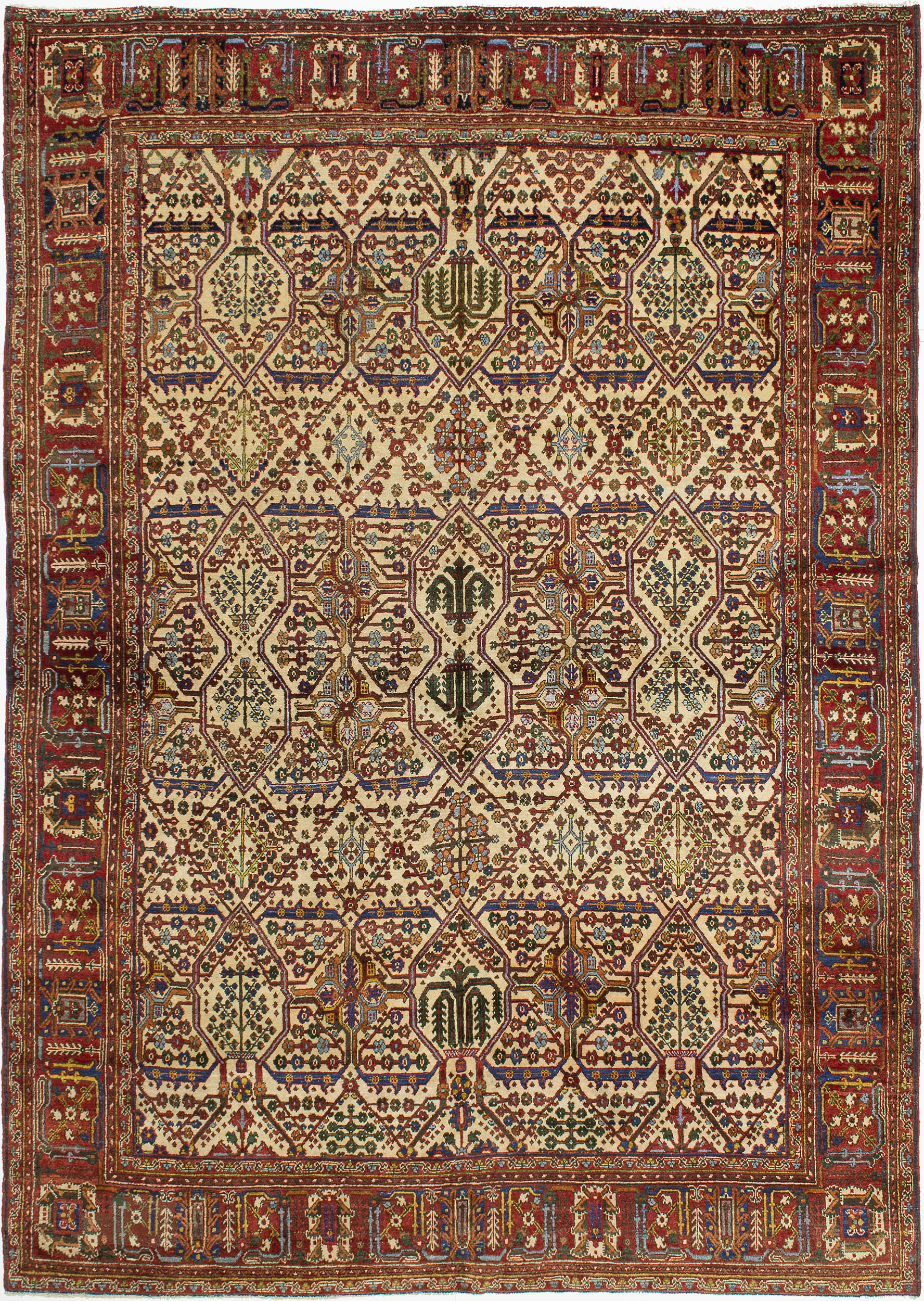 Joshaghan Carpet 9' 9" x 7' 0" 
