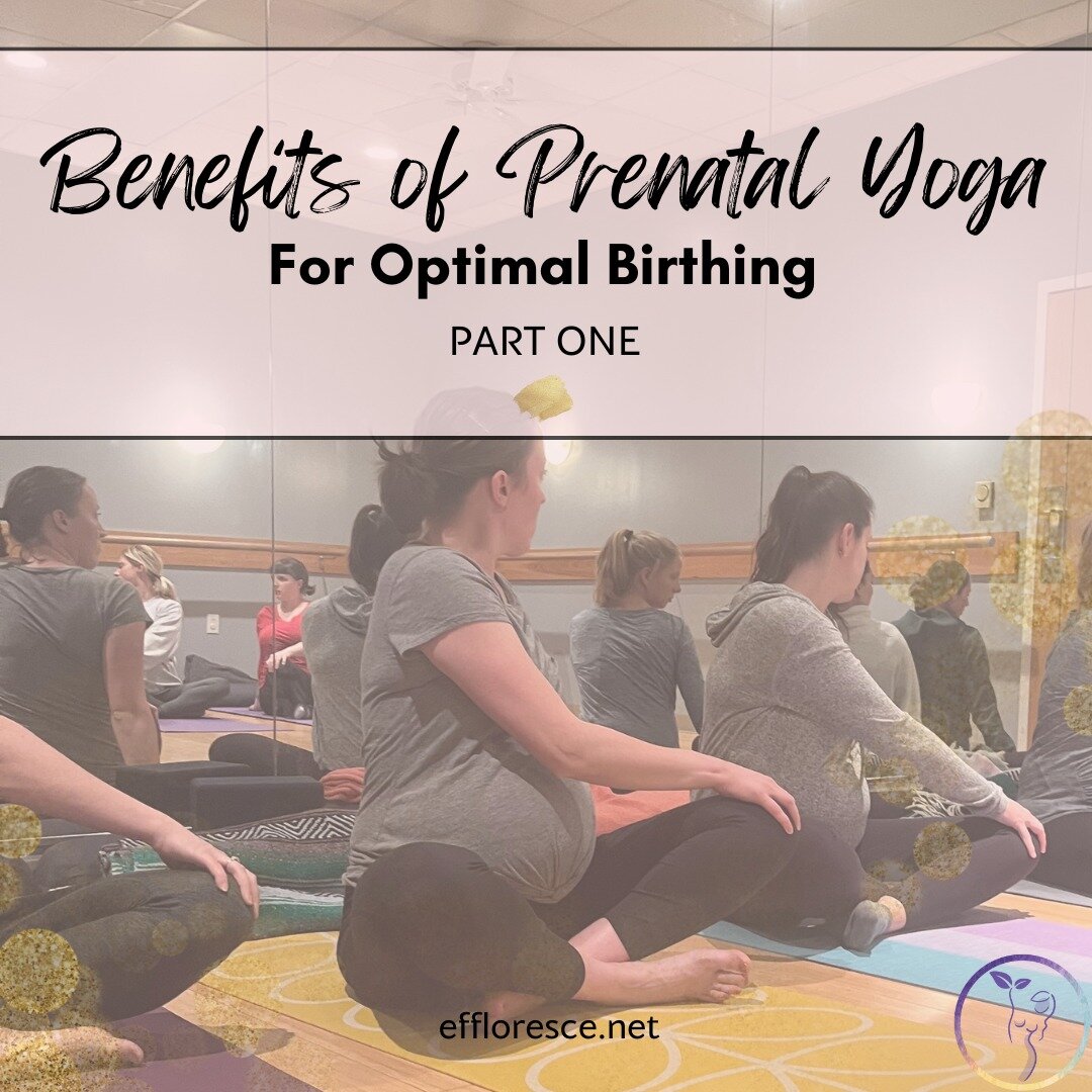 ✨✨✨Did you know that Prenatal Yoga offers a host of benefits for your optimal pregnancy and birth experience? Here's just a small part of the list:

-Improves mood
-Reduces swelling 
-Promotes better sleep
-Supports manifesting pregnancy for those tr
