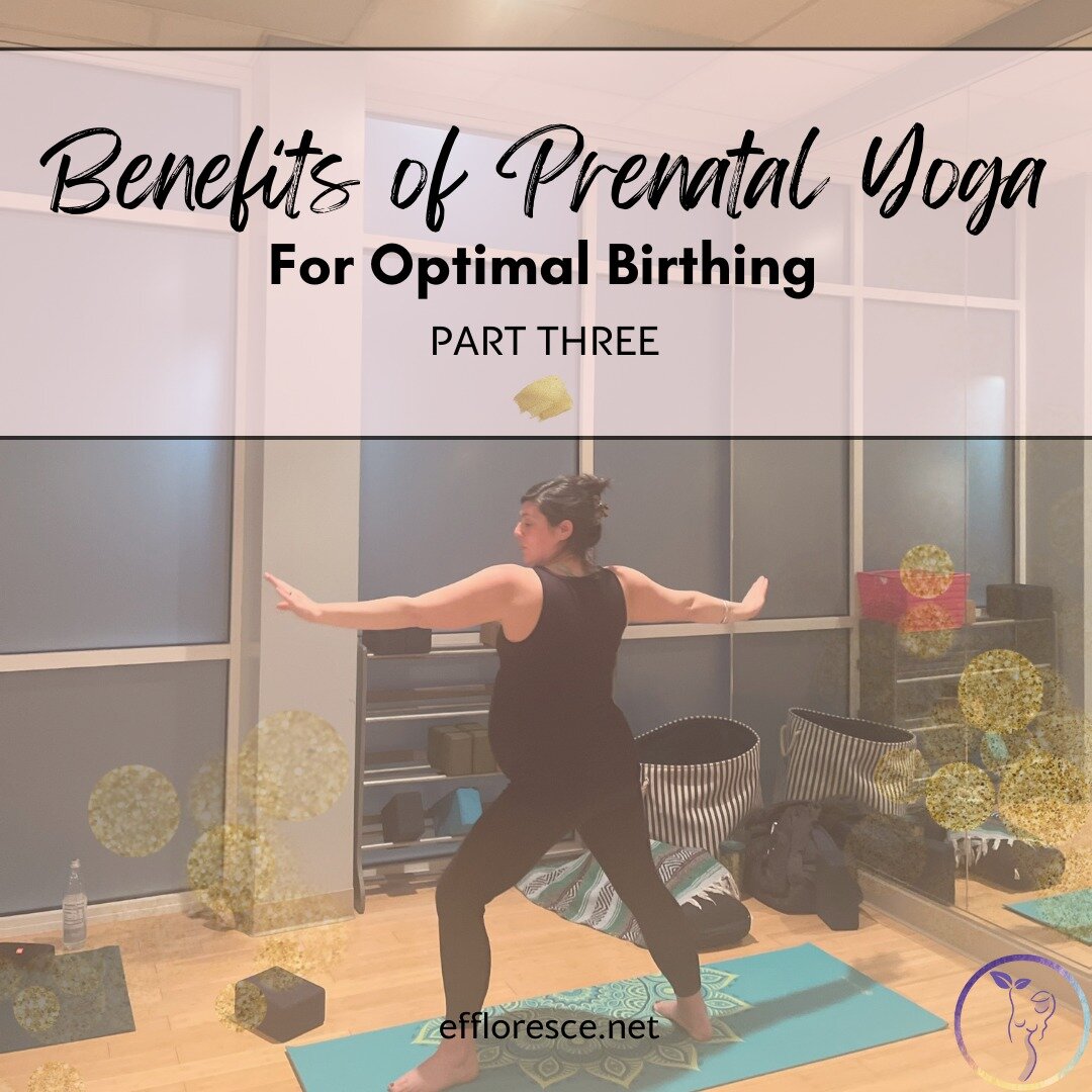 ✨✨✨Did you know that Prenatal Yoga offers a host of benefits for your optimal pregnancy and birth experience? Here's a few more reasons to add prenatal yoga to your weekly routine:

-Improves posture
-Promotes muscle tone
-Improves alignment and bala