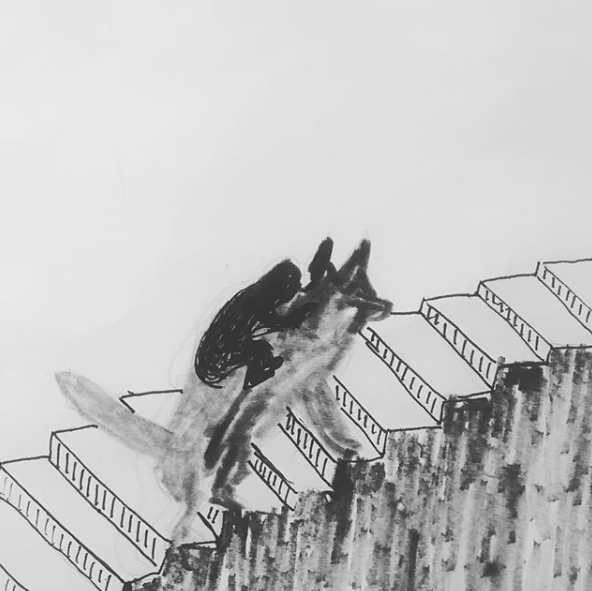  The husky offered to give the man a ride. He jumped on his back and together they went to reclaim his mind. 