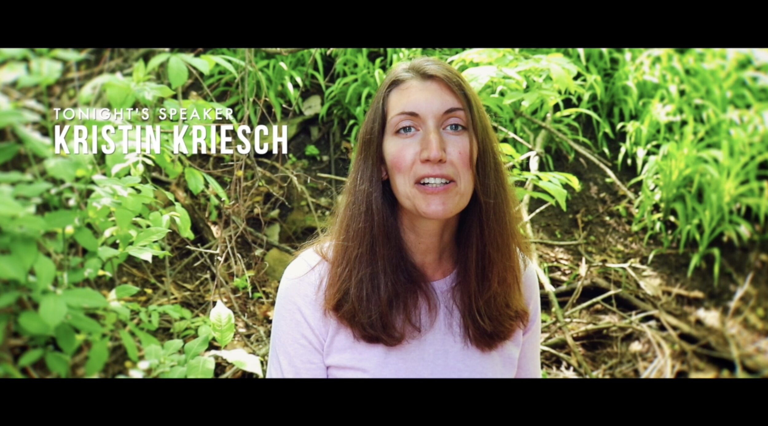 The House on the Sand