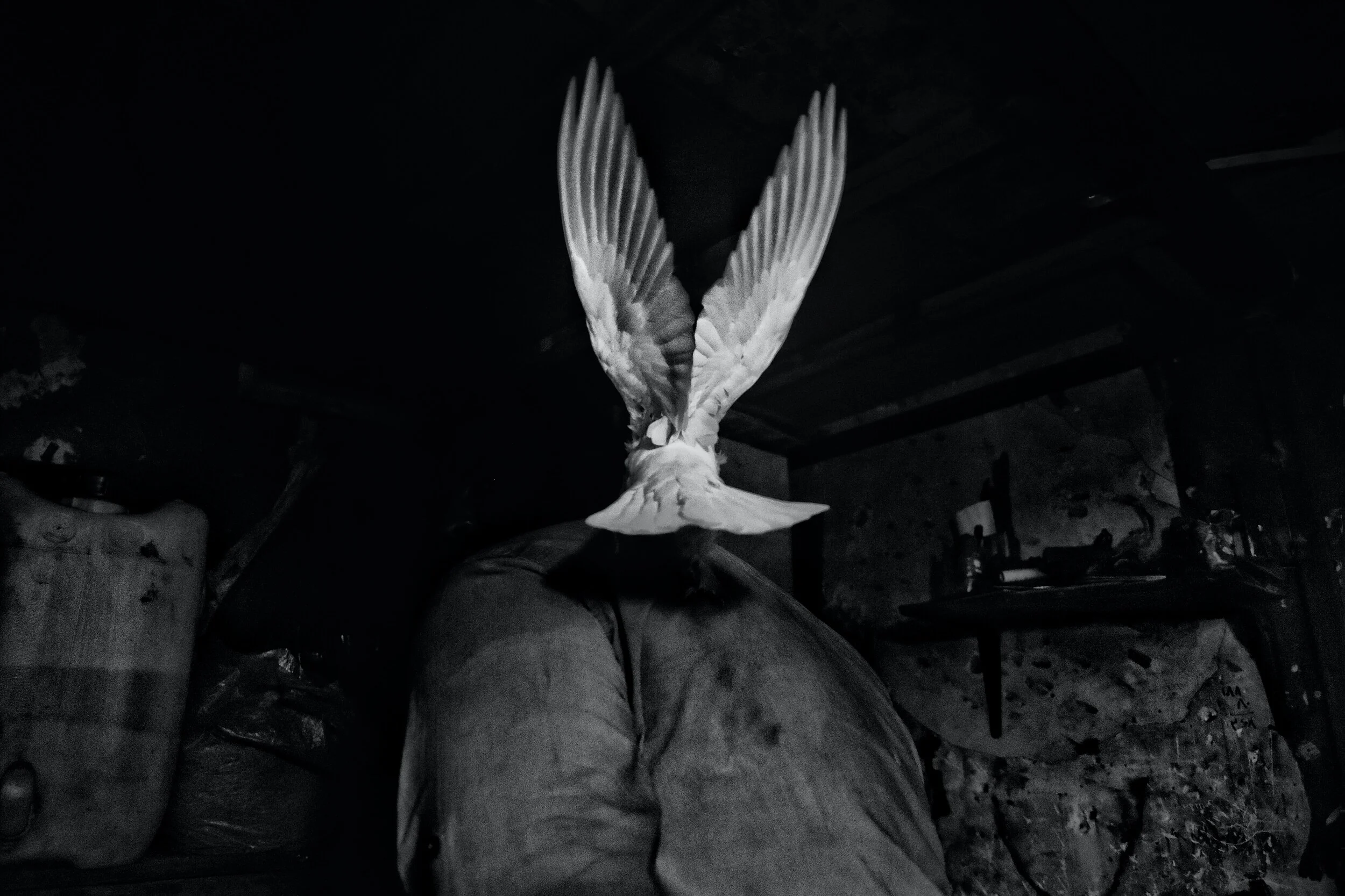 What Does the Holy Spirit Do?