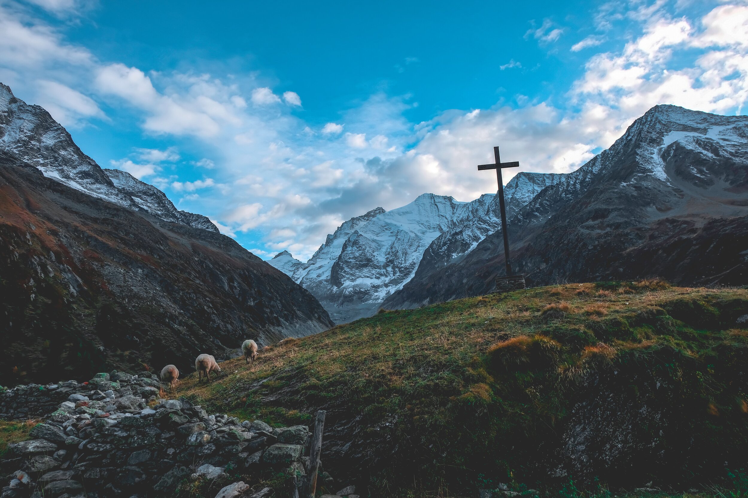 The Pacifistic Ways of Jesus
