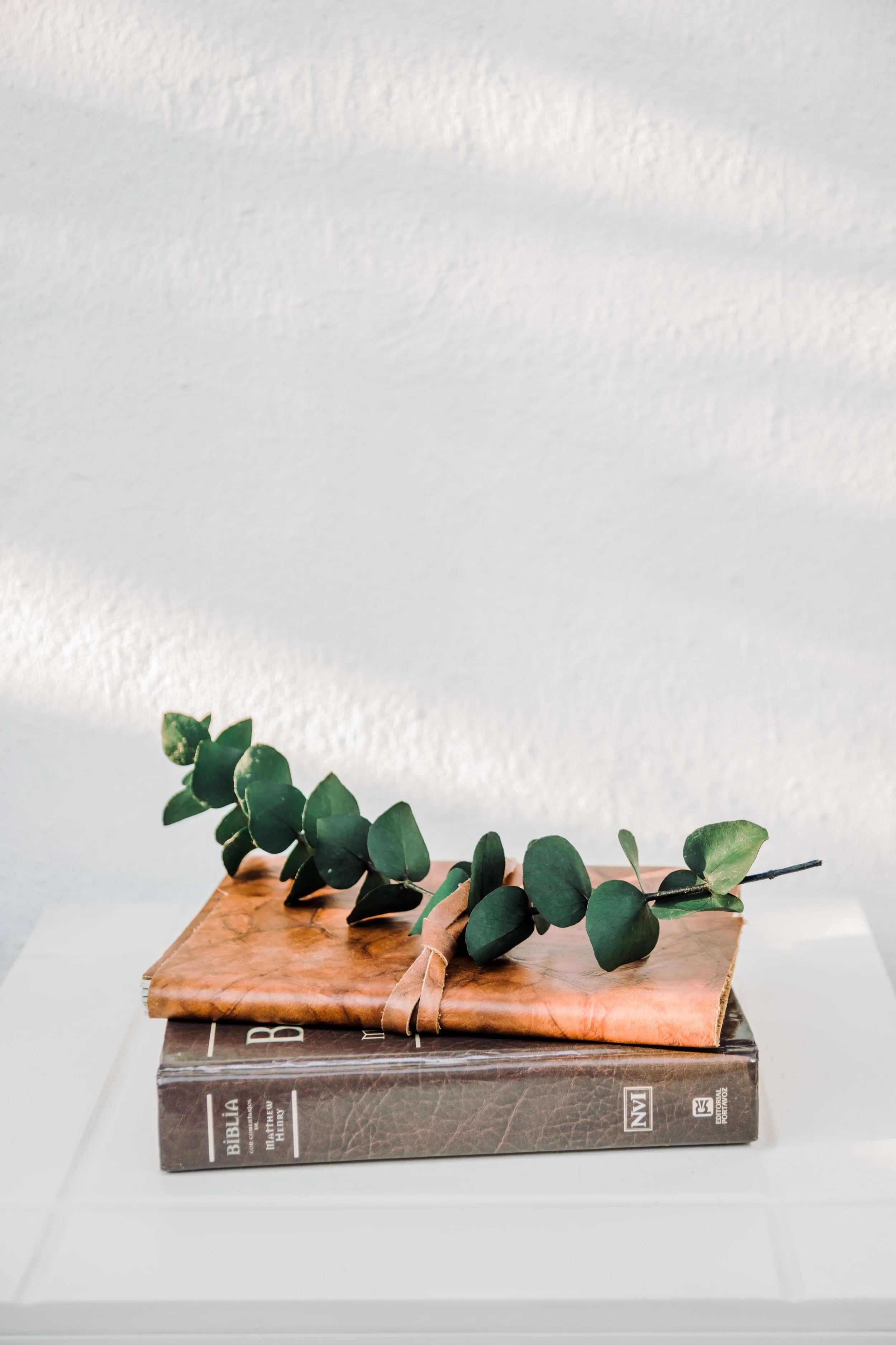 Reading Scripture with the Spirit