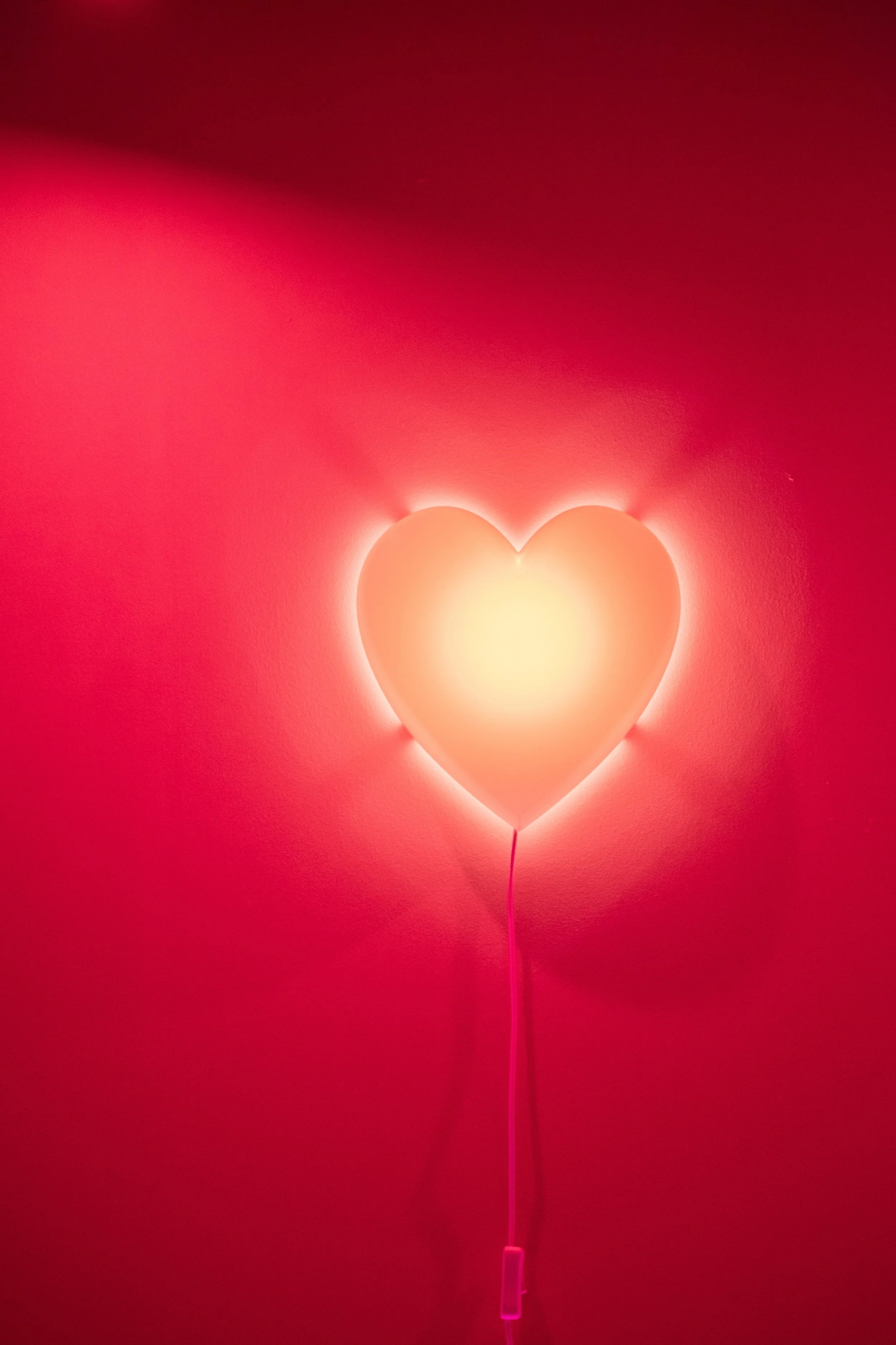 The Heart of the Law