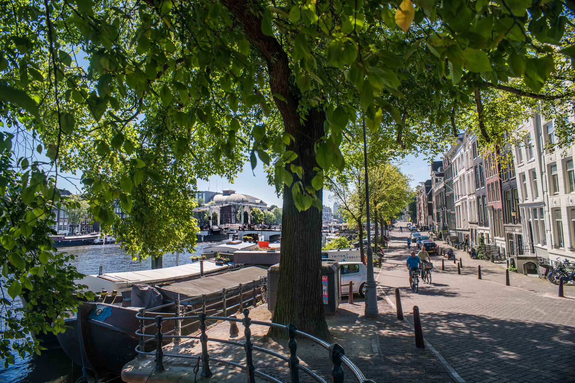 The ' Magere Brug ' left of the tree.