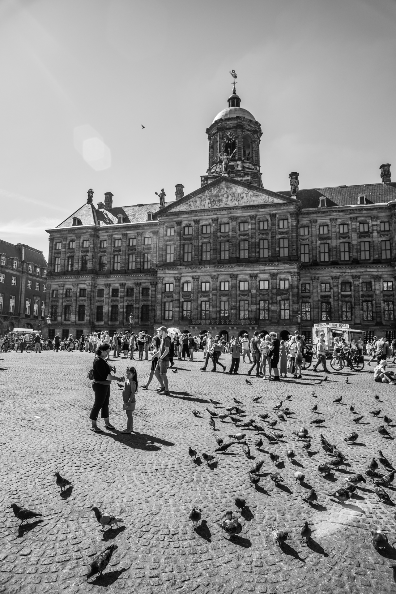 Royal Palace with some pigeons