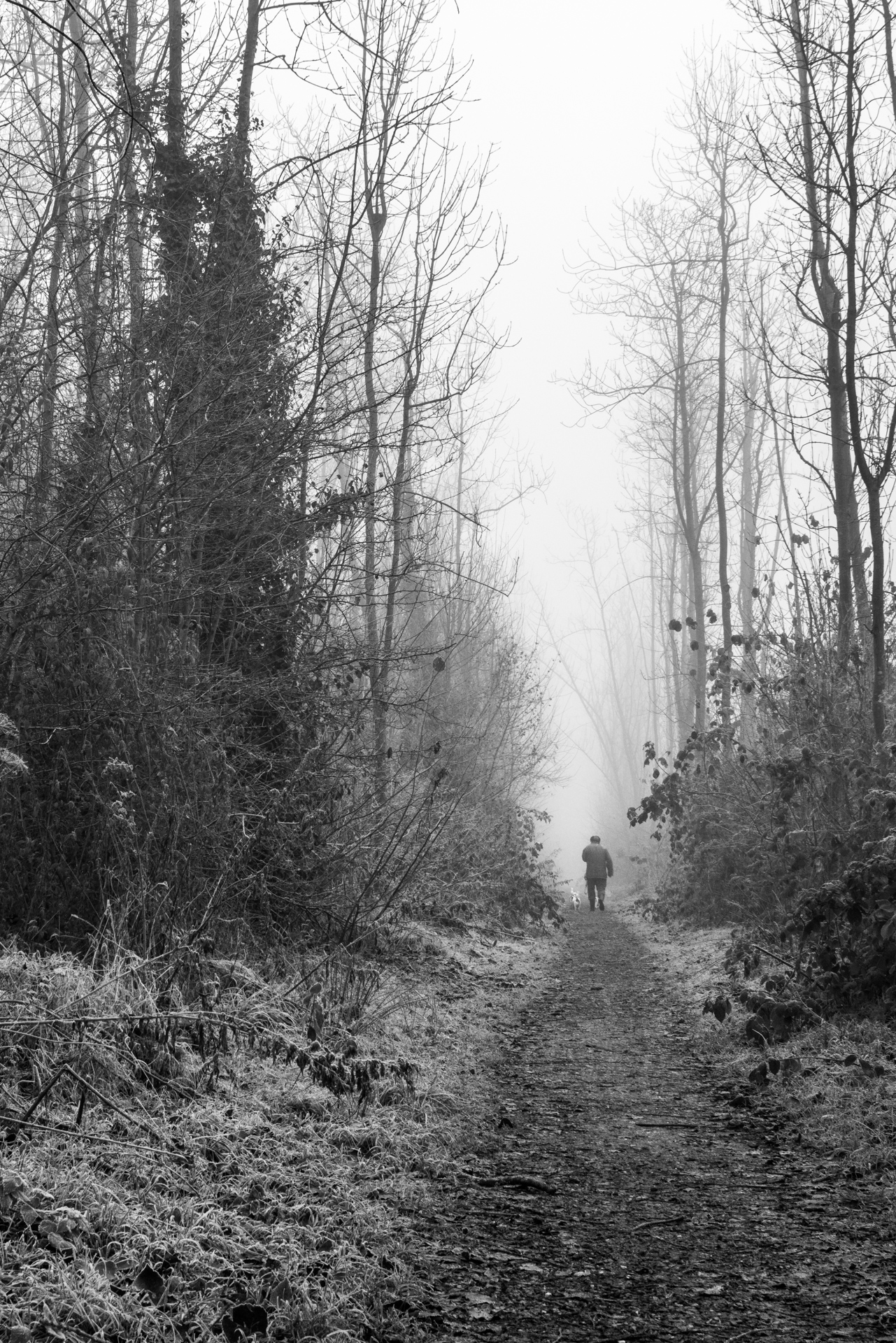 nFD 20-35 f/3.5L (crop)