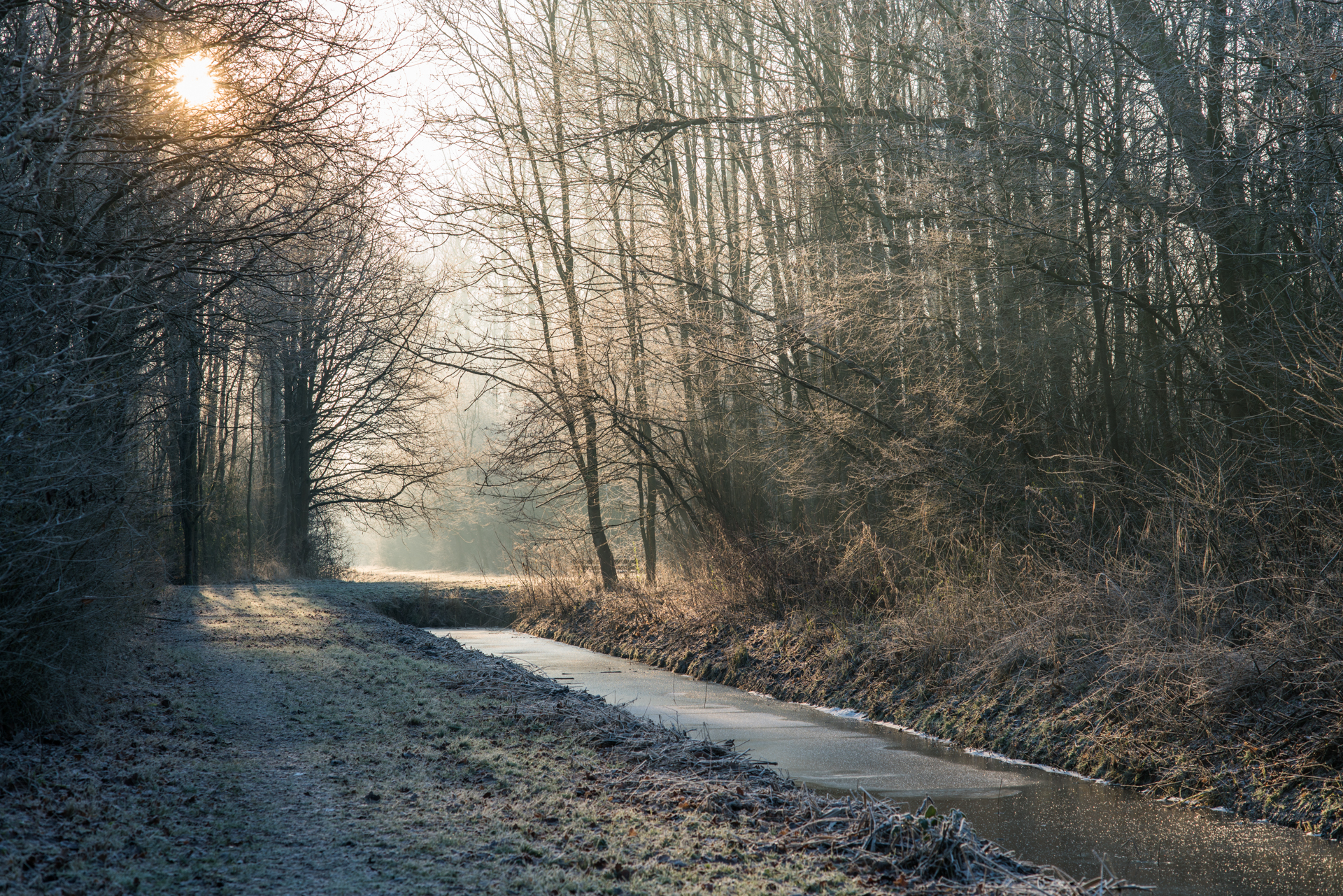 nFD 85mm f/1.8