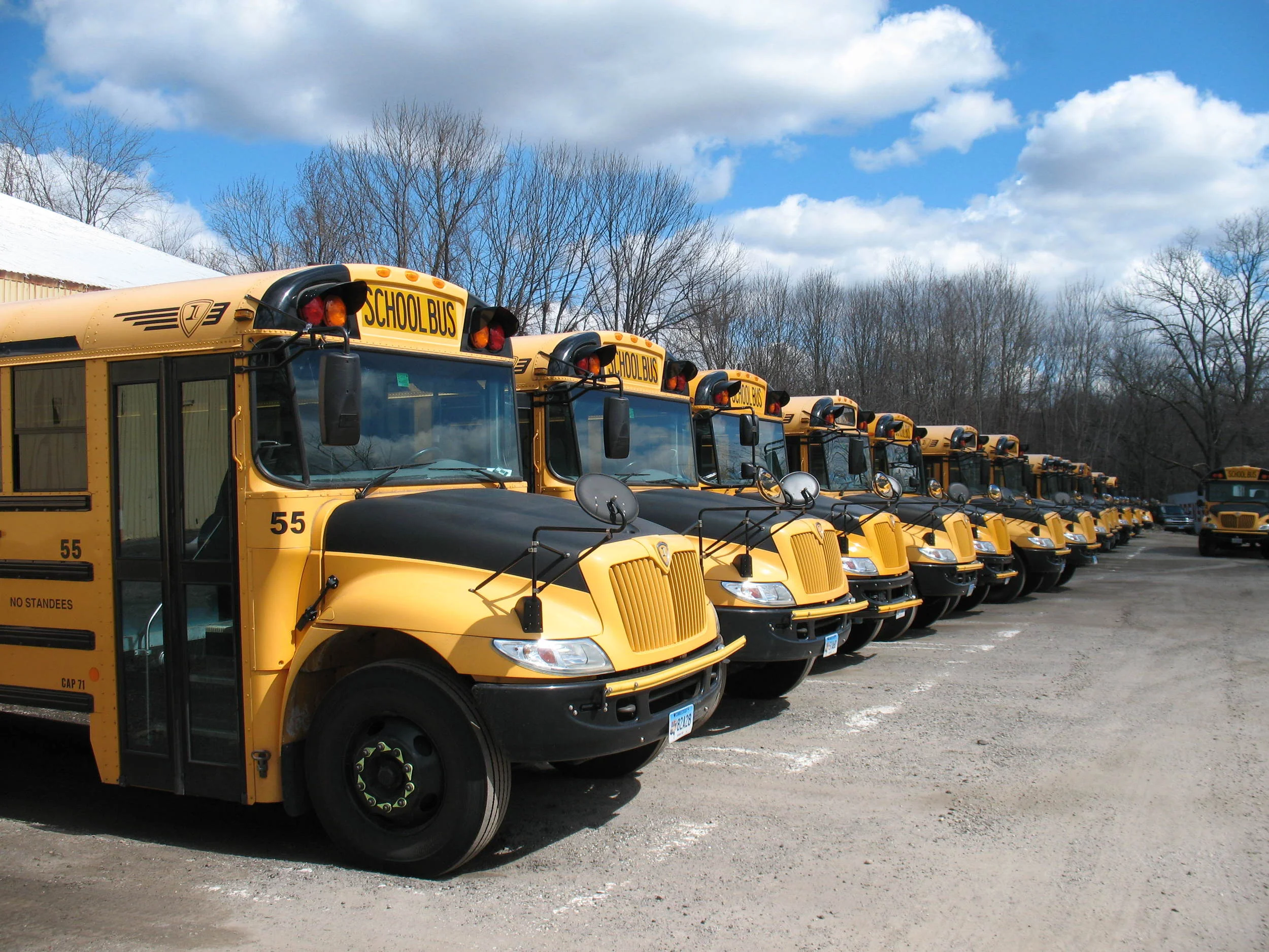 Bus line-up.jpg