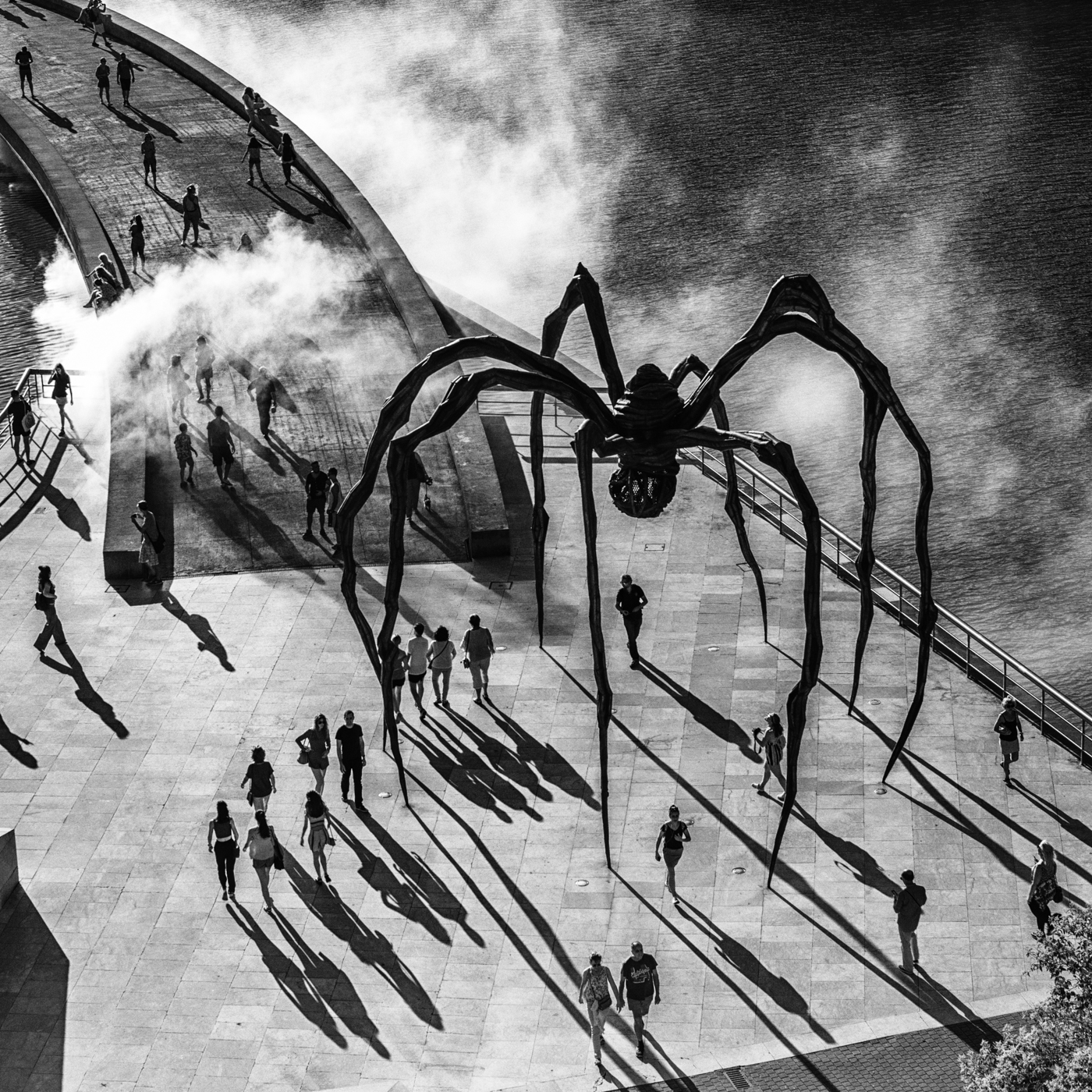 'Incy Wincy Spider' by Colin Griffiths