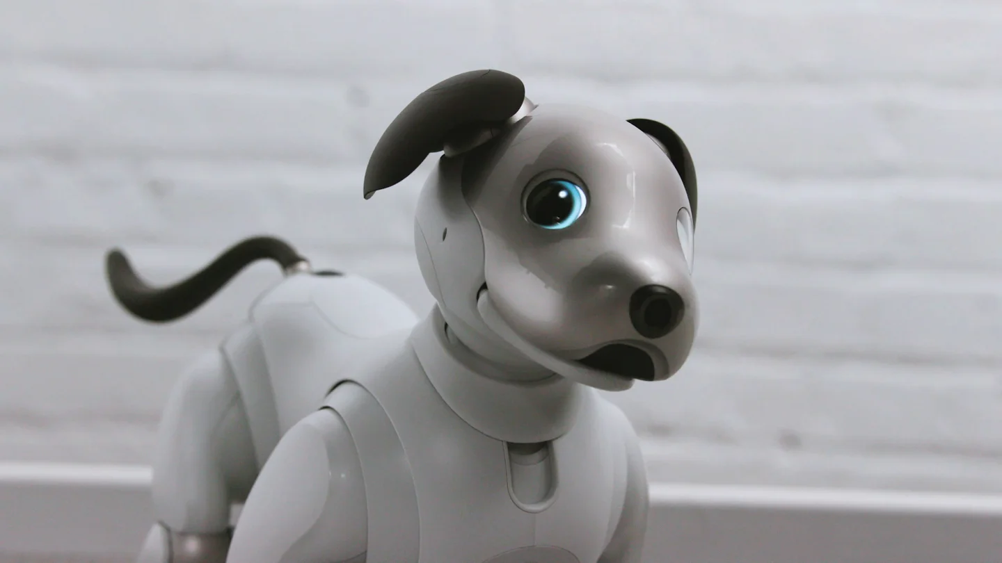 SONY "AIBO MEETS NEW YORK"