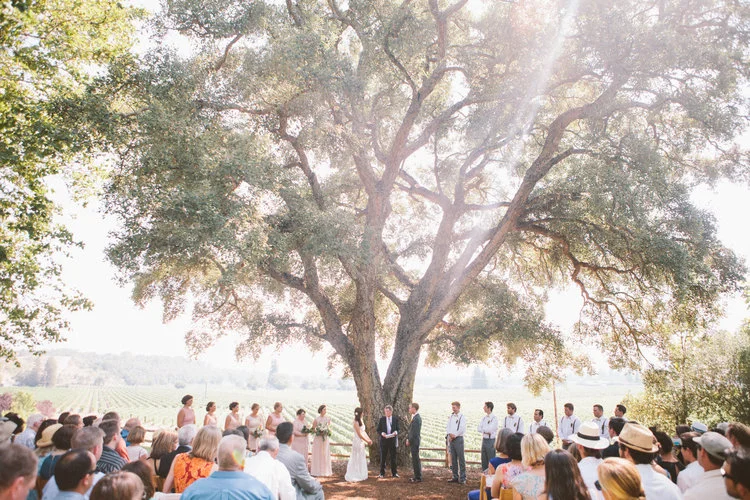 Amy & Clark at Ru’s Farm | Healdsburg, CA