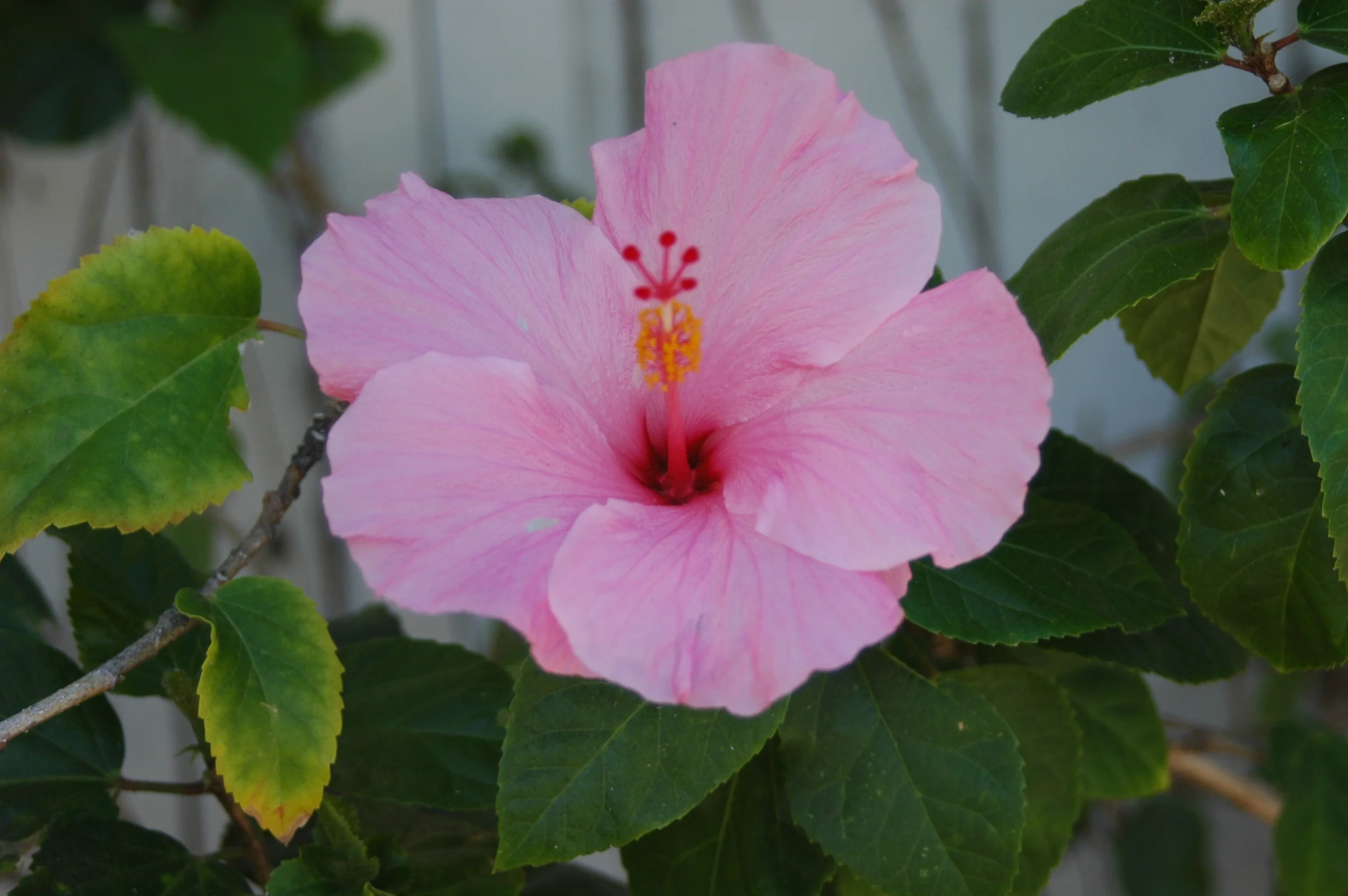 Southeast Wisconsin Book Festival