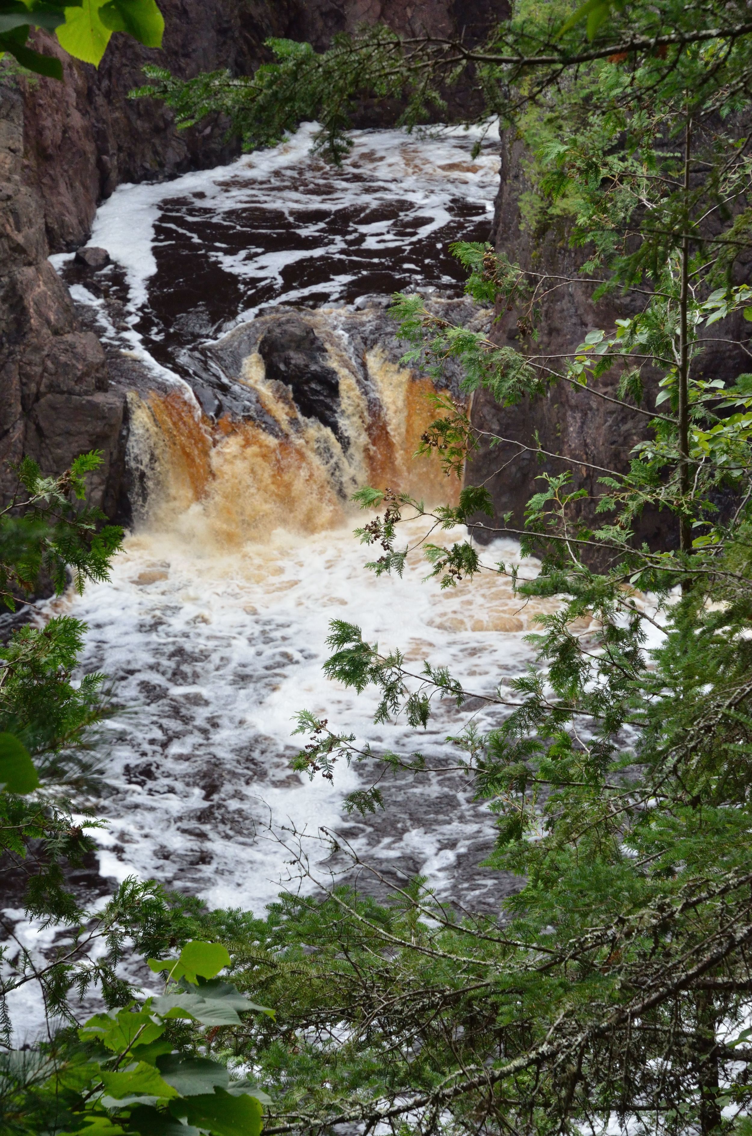 Opening Reception for Viktoria Ford's Art Show, Illini Union Art Gallery