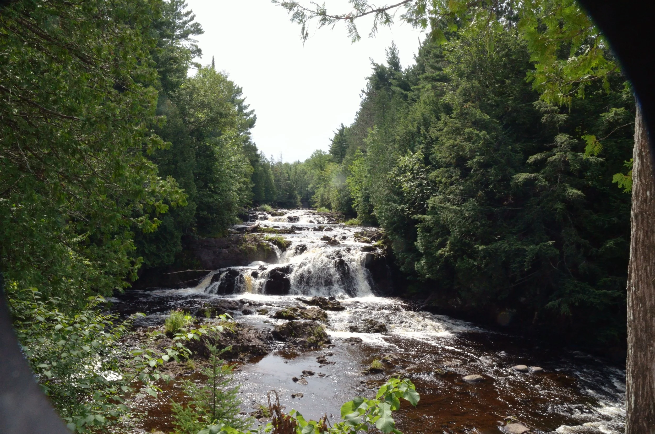 Barnes and Noble--Champaign