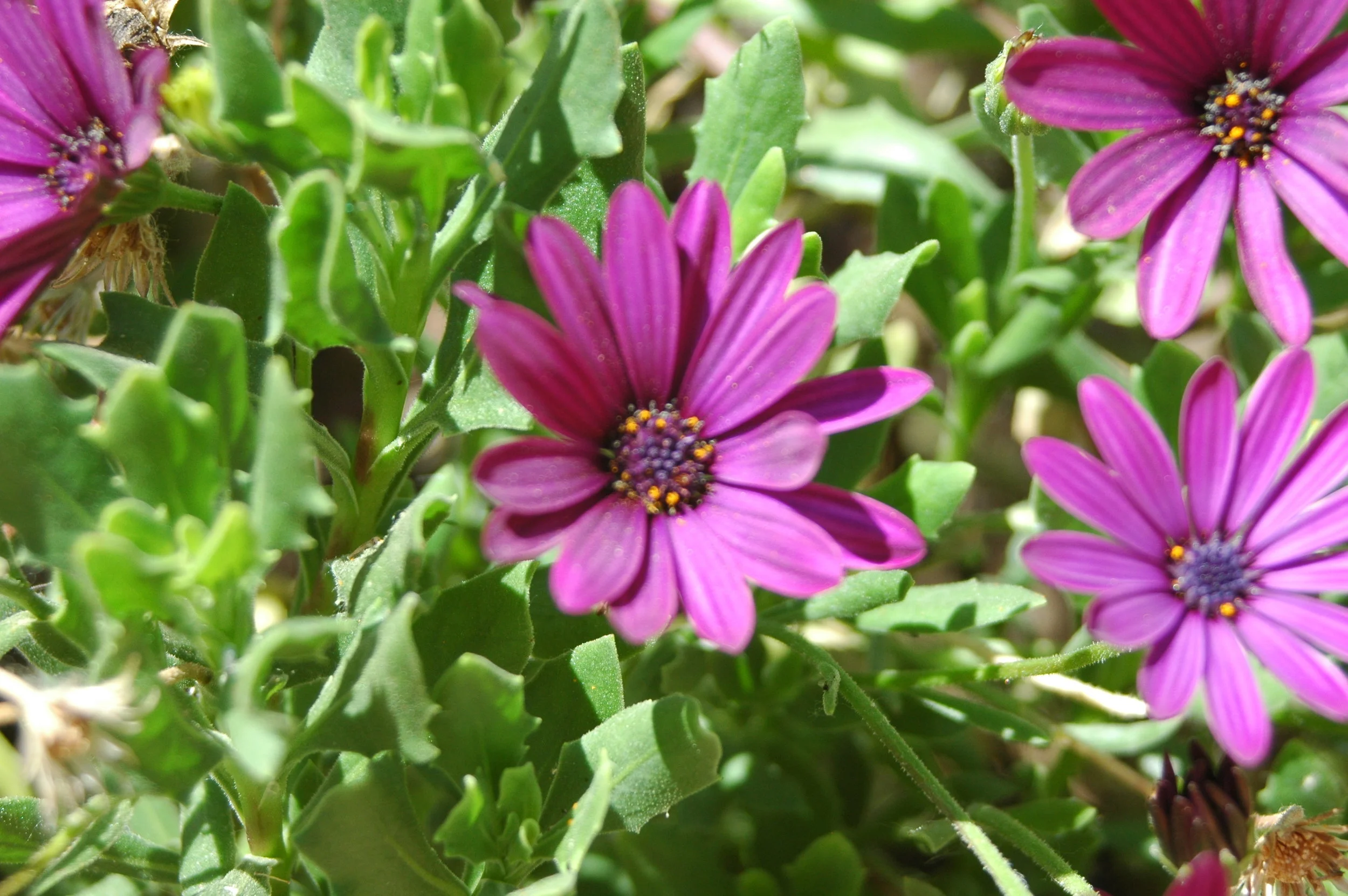 Greenlight Bookstore