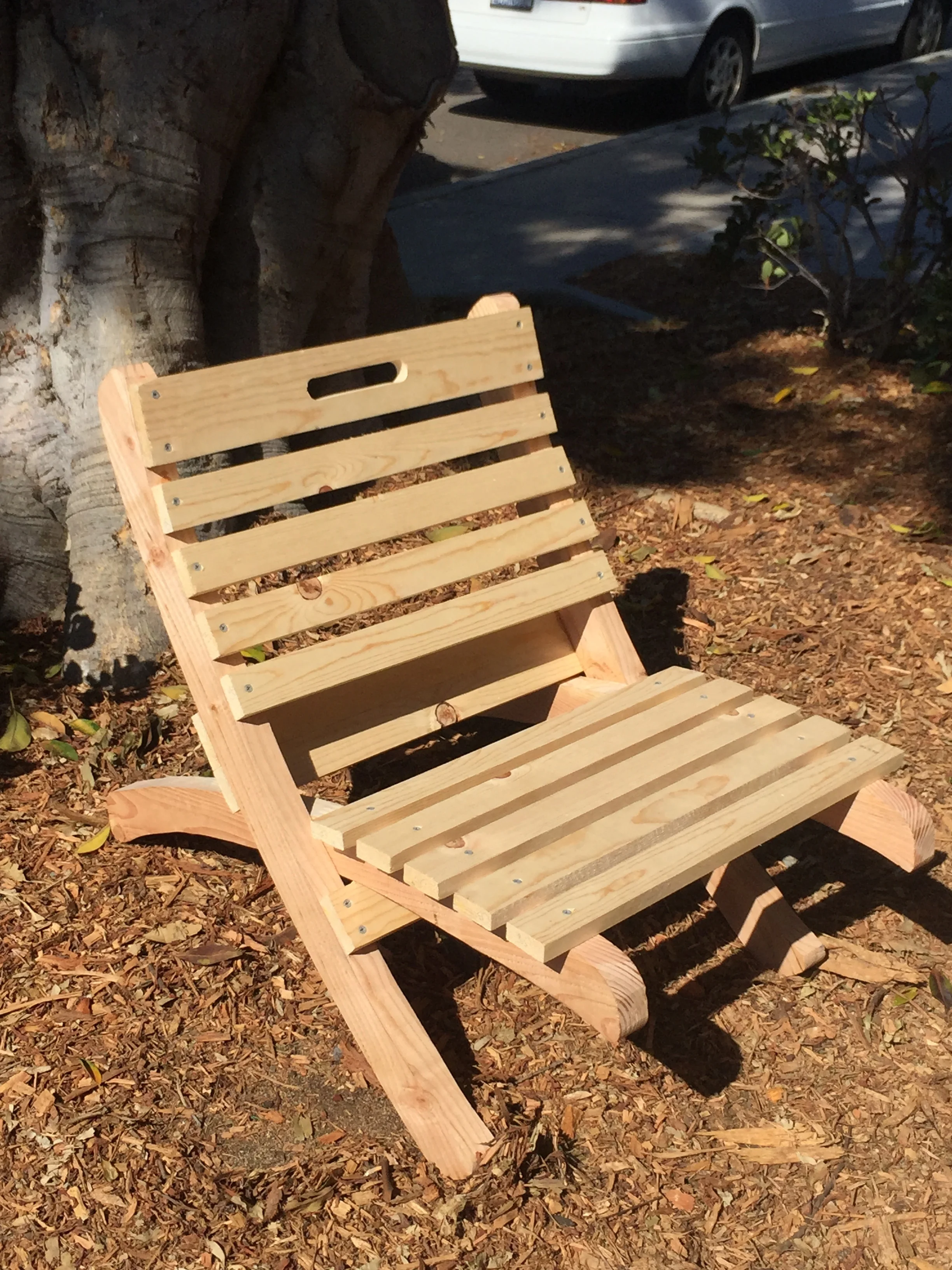 Treehouse 37: Daytrippin' 