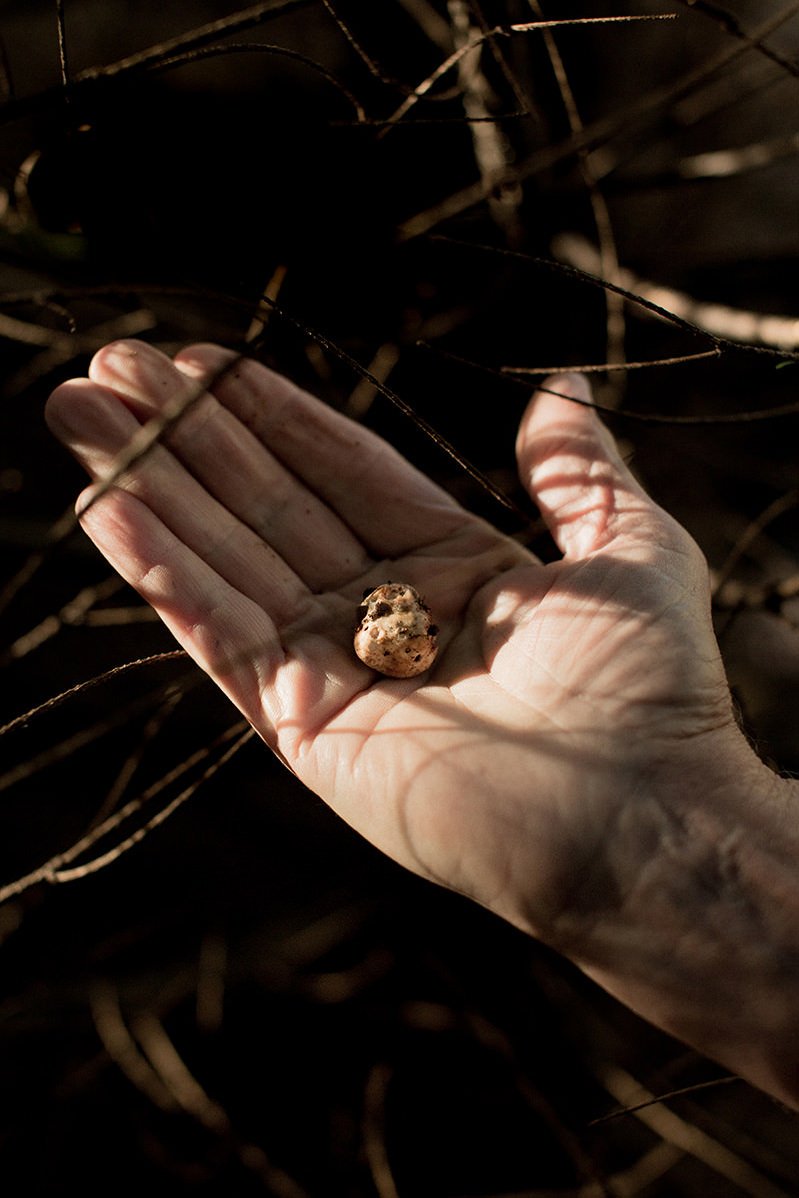 truffle-hunting-oregon1.jpg