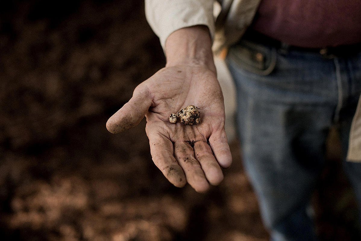 truffle-hunting-oregon6.jpg