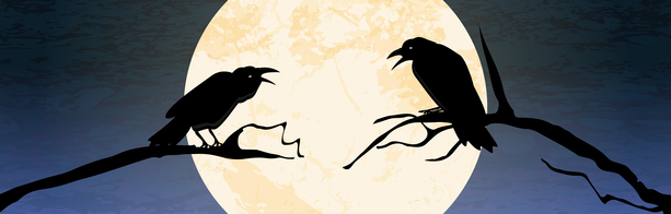 stockfresh_8595435_halloween-scary-crow-background_sizeXS.jpg