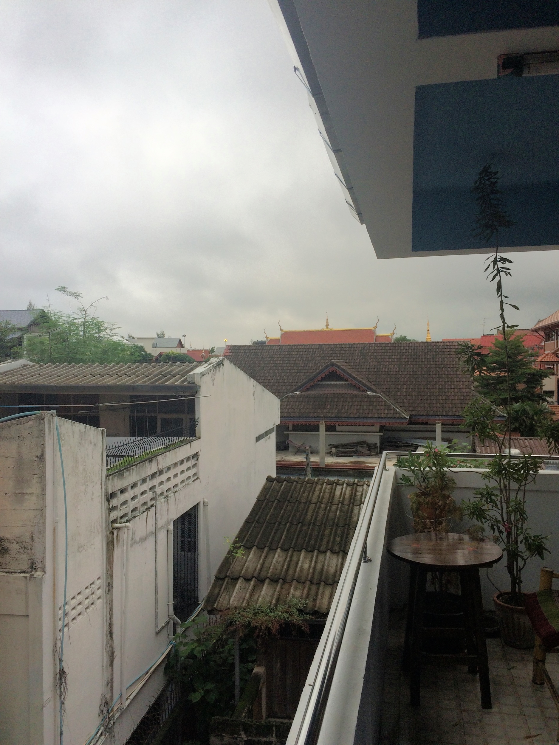 View from outside my room at Nature's Way