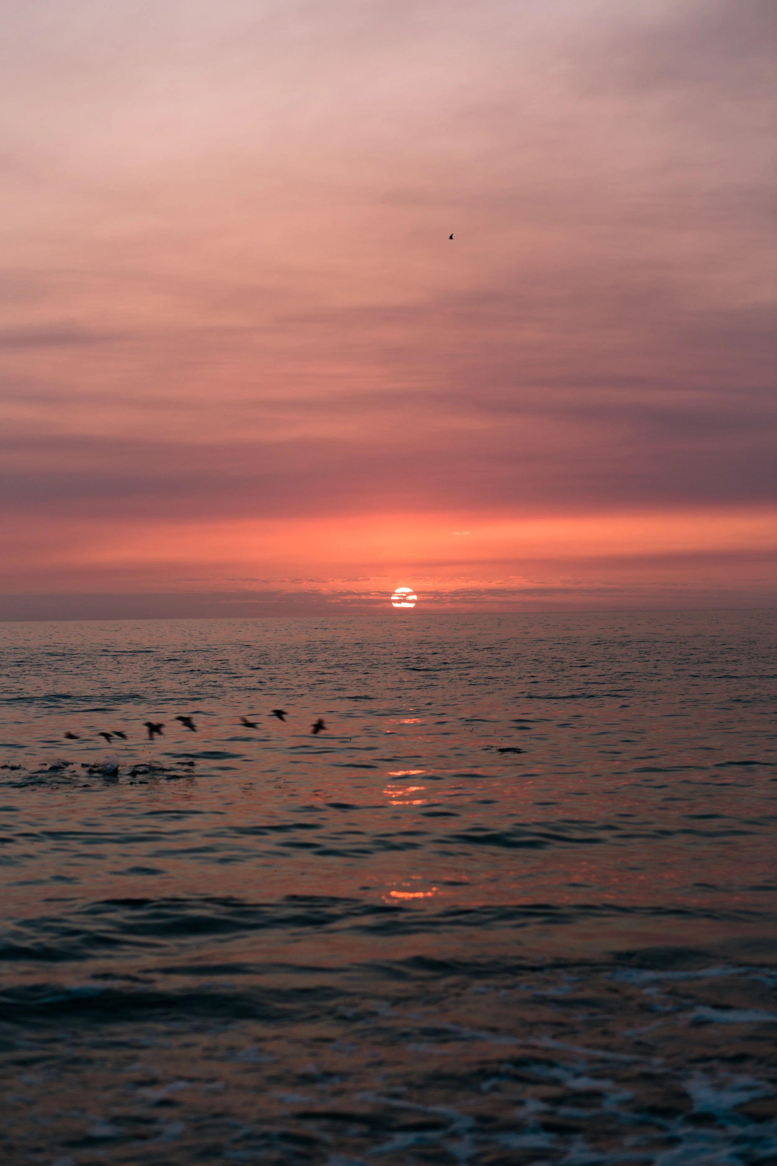 20180413-093A6863-2.jpg