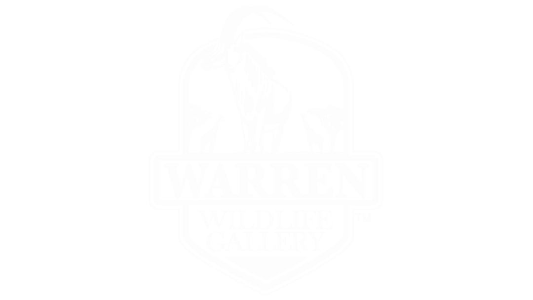 logo white 2 larger.png