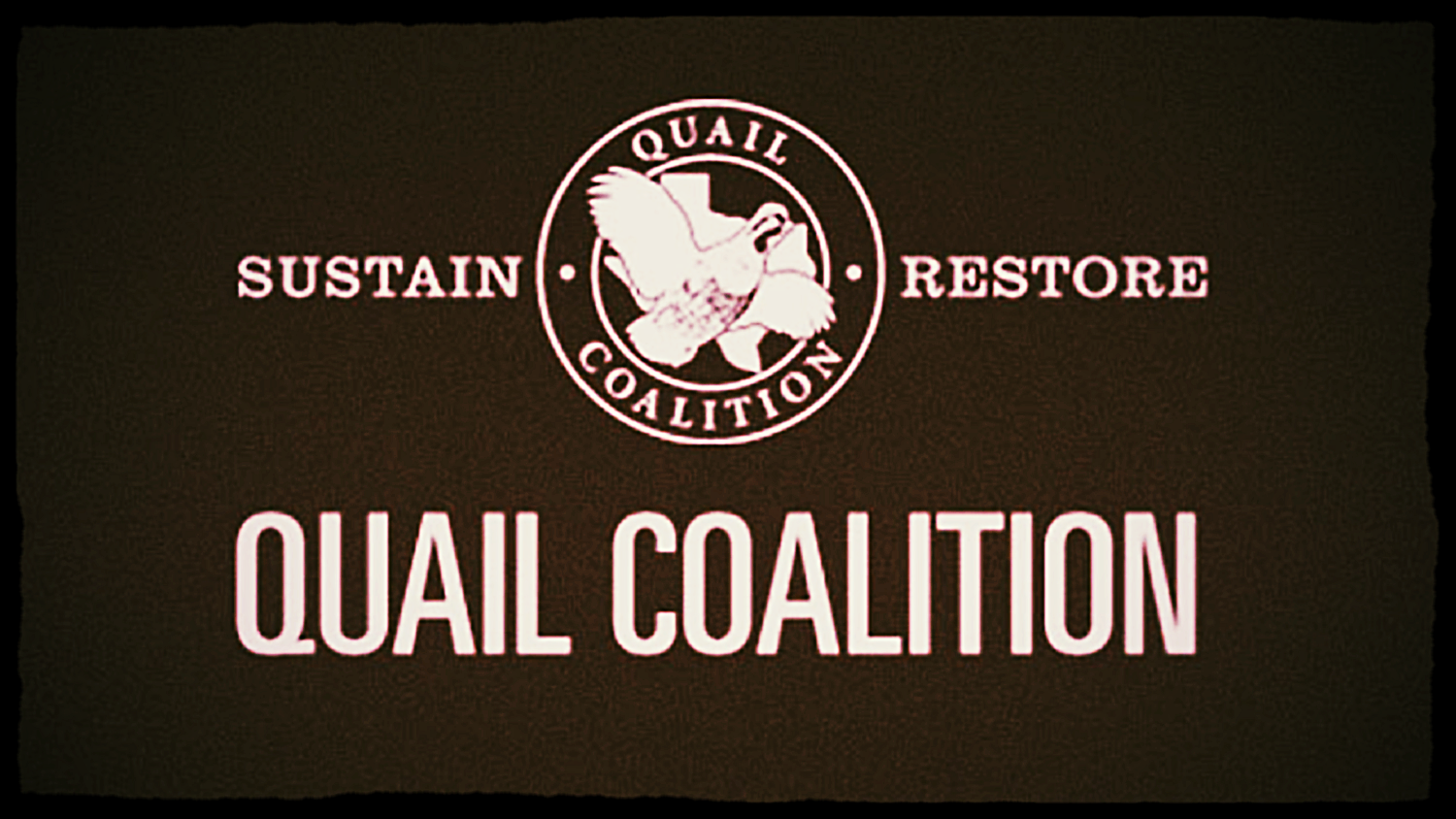 quail co-1079x691.jpg