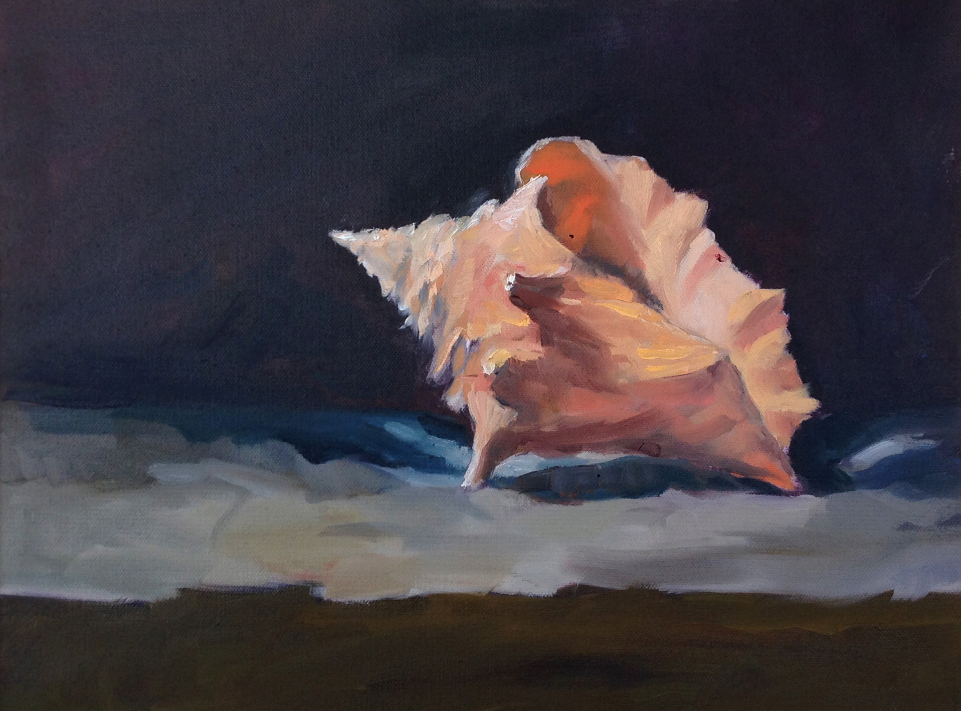 Conch 10" x 10"