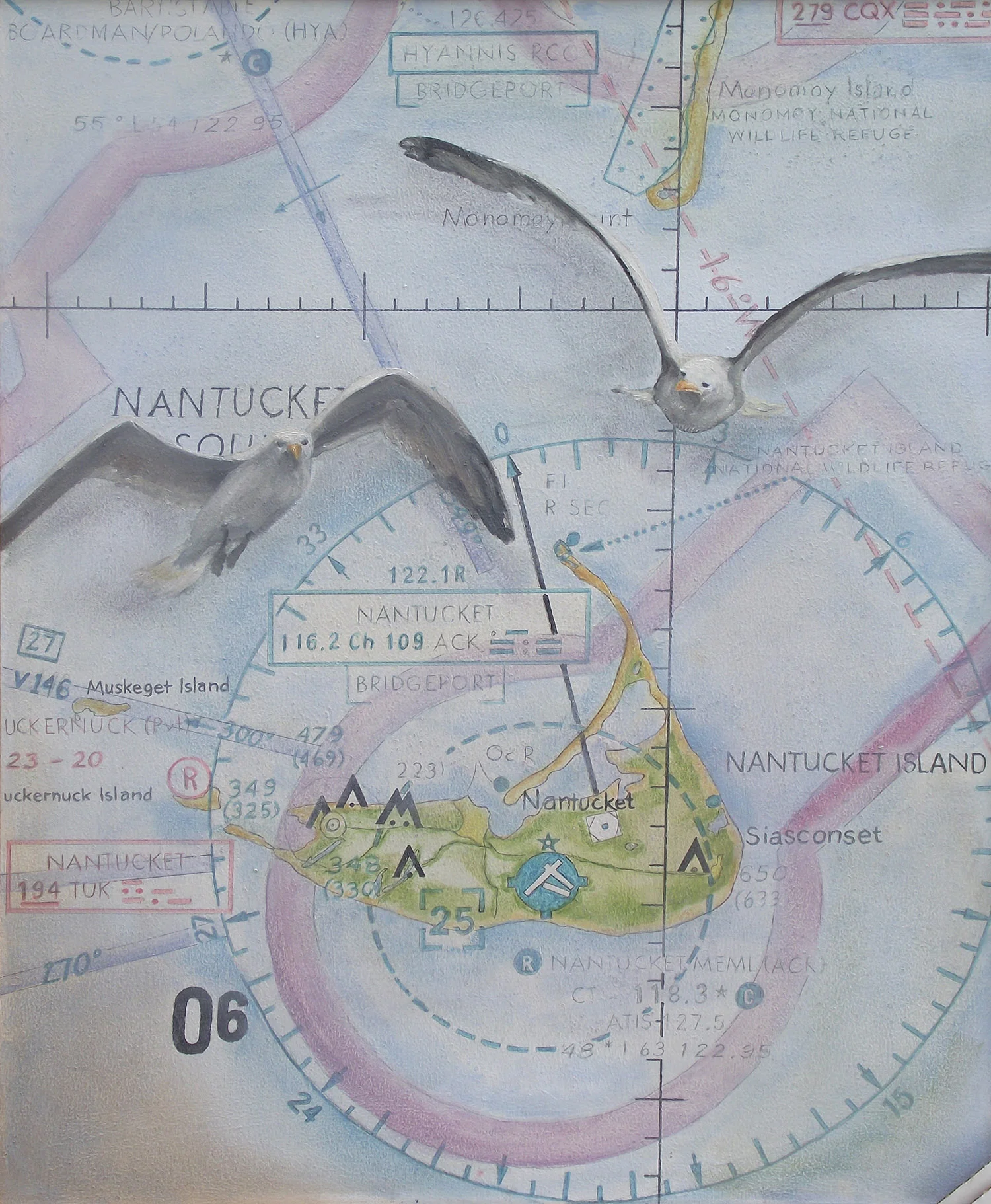 ClearedforLandingVFRChart(VisualFlightRules)24x30-smaller.jpg