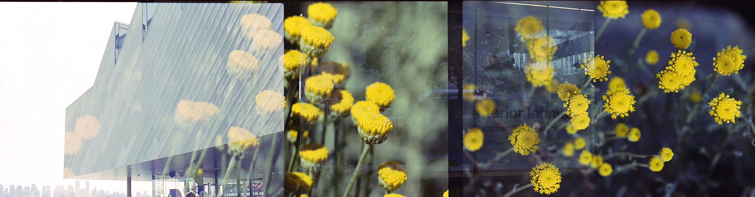 Polygon Gallery, Interior Infinite + Yellow flowers