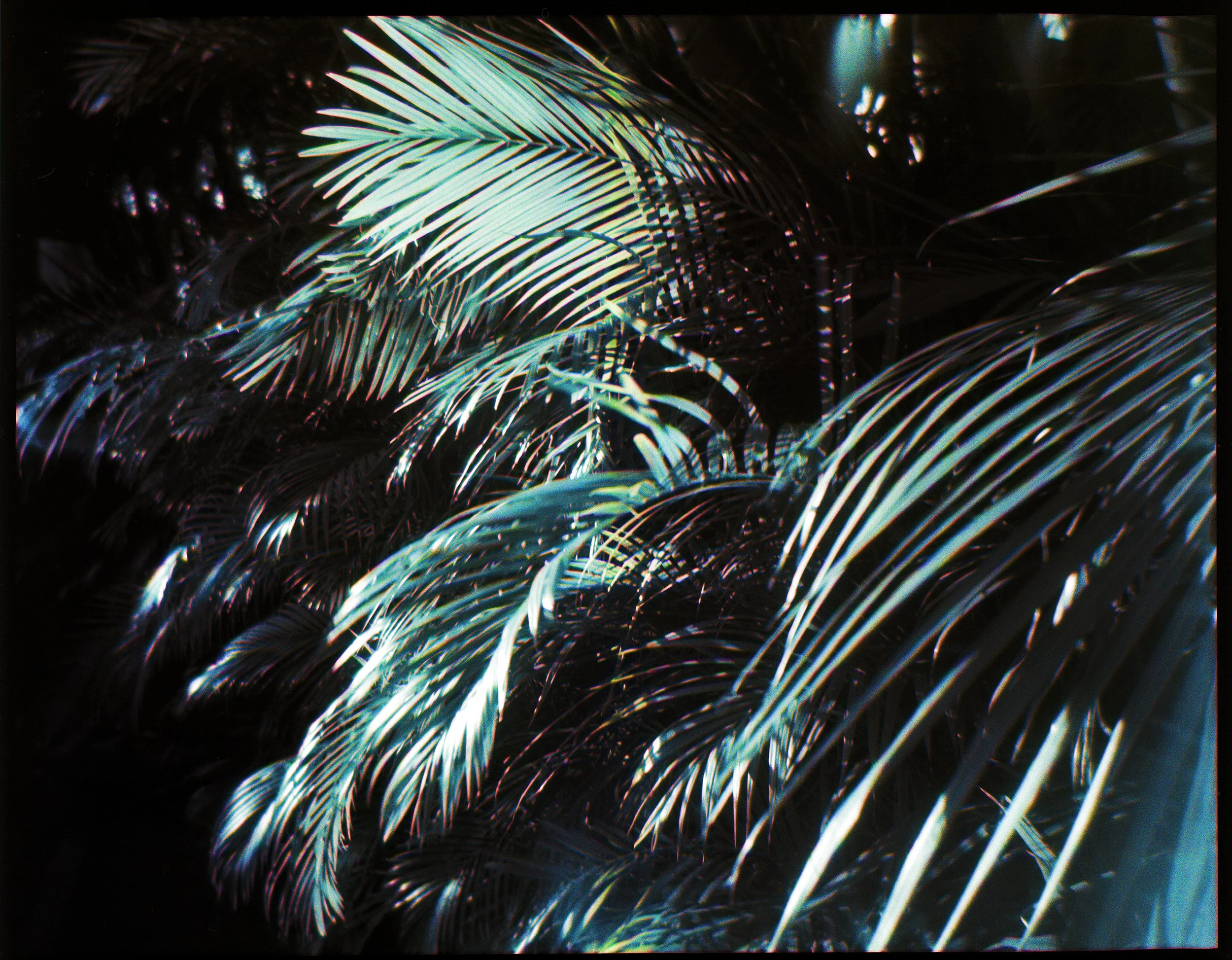 Joanne-White_02_Hidden Colour Magic II.jpg