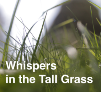 Whispers in the Tall Grass - Website Launched