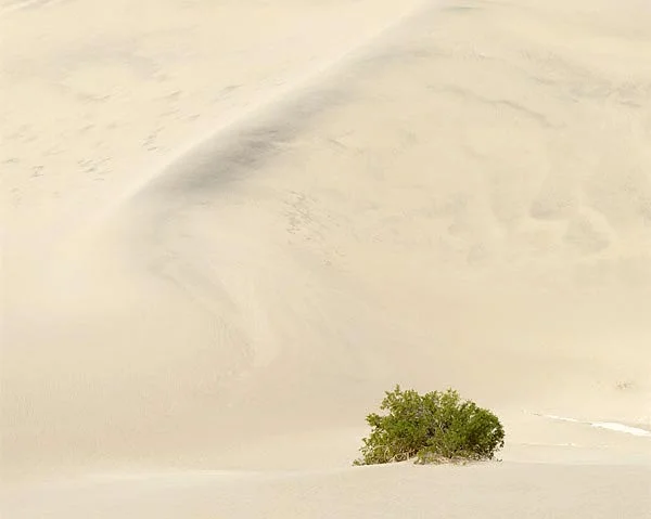 Deathvalley.jpg