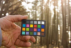 Digital Exposure and Color Balance for RAW will be explored in detail.