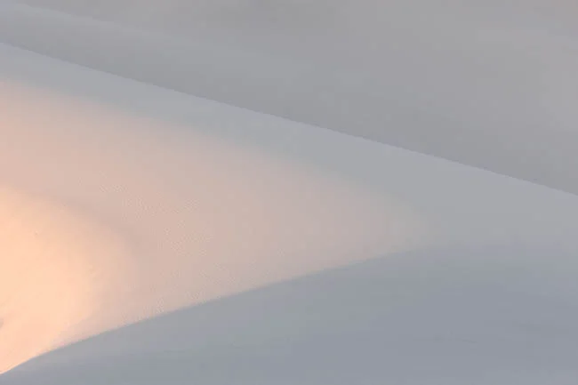 _N5V2065.jpg