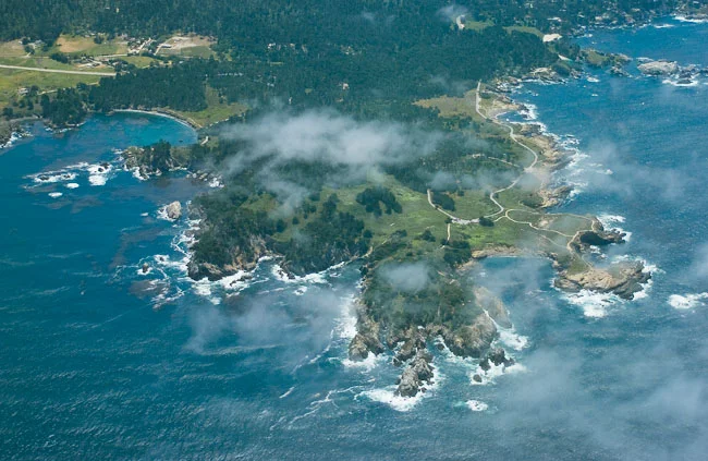ptlobos-DCS00030.jpg