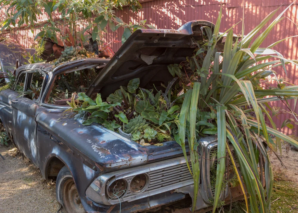 Planter. Ford Edsel. Flora Grubb. San Francisco. 2017. Canon EOS-1Dx Mark II.
