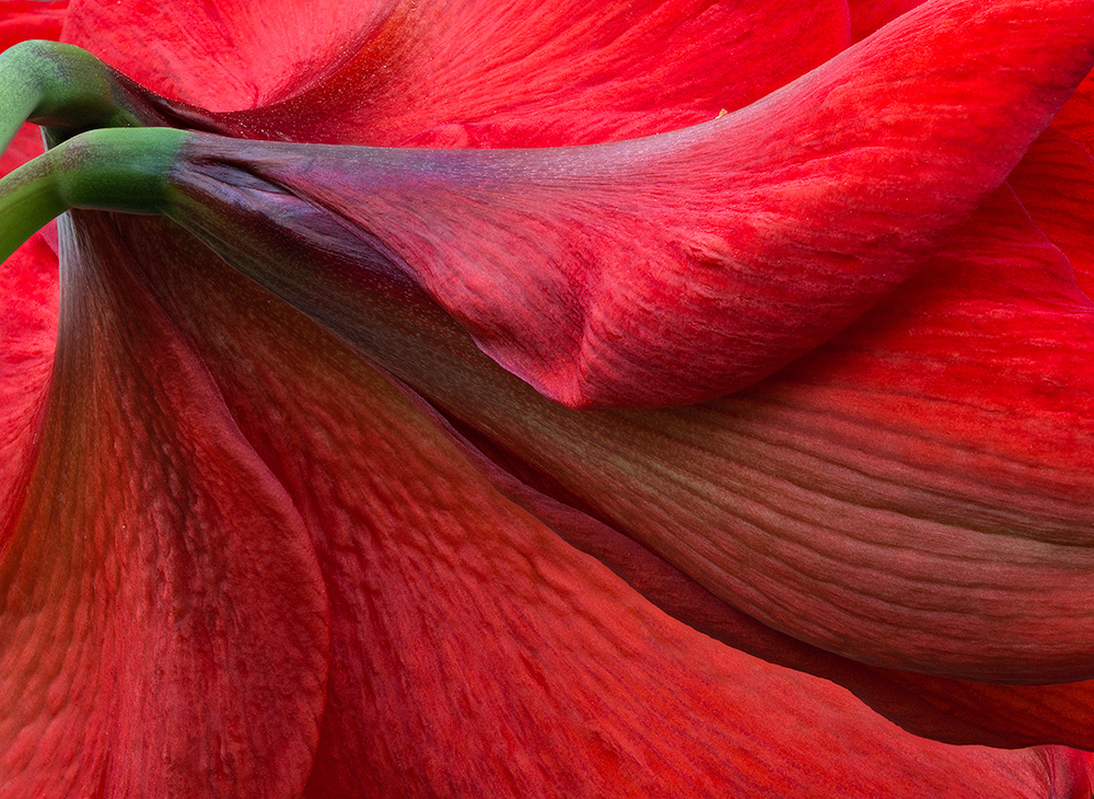 Color: Emotion, Management, Editing and Printing