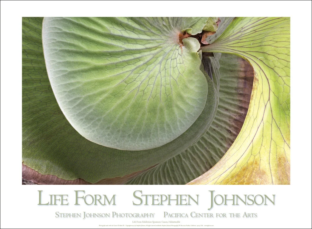 Life-Form-poster-1.jpg