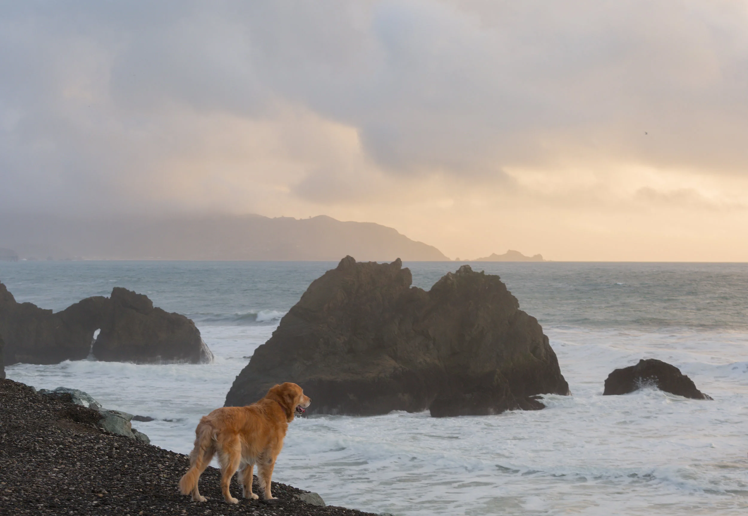 Sandy at Mussel Rock. Pacifica, CA. 2014. Canon Canon EOS 5D Mark III.